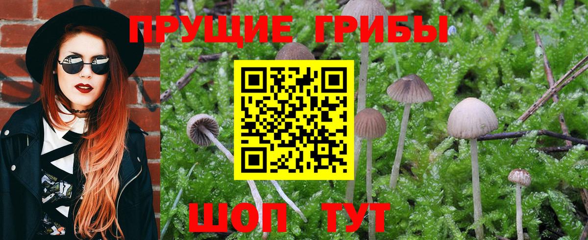 Галлюциногенные грибы Psilocybine cubensis  где можно купить наркотик  Вход с VPN  Нижний Тагил  Псилоцибиновые грибы MAGIC MUSHROOMS 